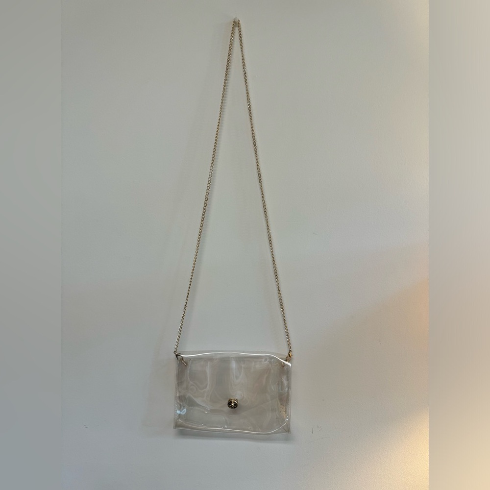 Amazon Clear Clutch with Chain
